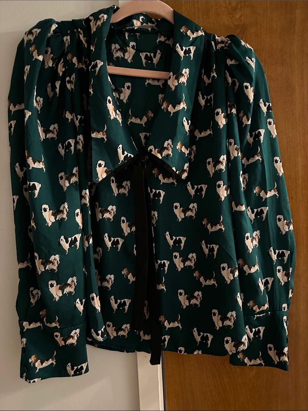 Zara Green Blouse Dog print